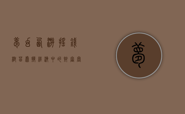 梦幻西游摇钱树苗，虚拟经济中的财富密码