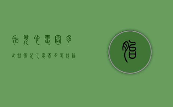 胎儿心电图多少钱（胎儿心电图多少钱检查一次）