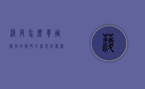 菱角怎么养殖 菱角的施肥方法是什么（菱角施什么肥?如何施?）