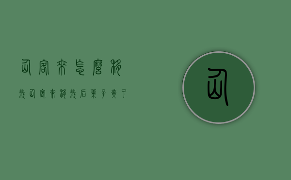 仙客来怎么移栽（仙客来移栽后叶子黄了怎么办）