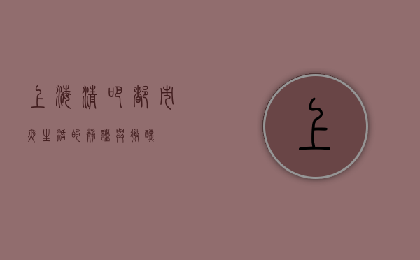 上海清吧，都市夜生活的静谧与微醺