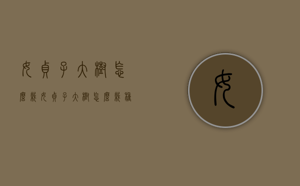 女贞子大树怎么栽（女贞子大树怎么栽种）
