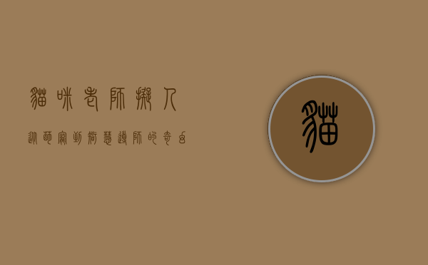 猫咪老师拟人，从萌宠到智慧导师的奇幻变身