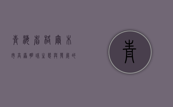 青海省格尔木市，高原明珠，生态与发展的交响曲