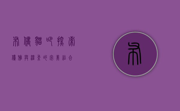 布偶猫吧，探索优雅与温柔的完美结合