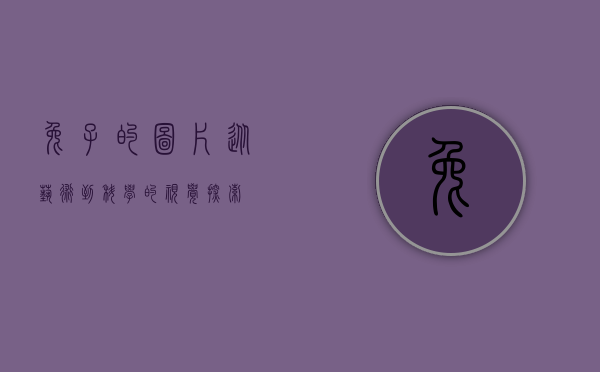 兔子的图片，从艺术到科学的视觉探索