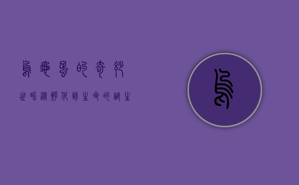 乌龟蛋的奇妙世界，从孵化到生命的诞生