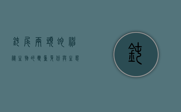 钝尾两头蛇，神秘生物的双重身份与生态意义