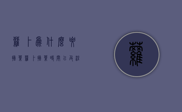 萝卜为什么要摘叶？萝卜摘叶时间以及注意事项！（萝卜要摘叶子吗）