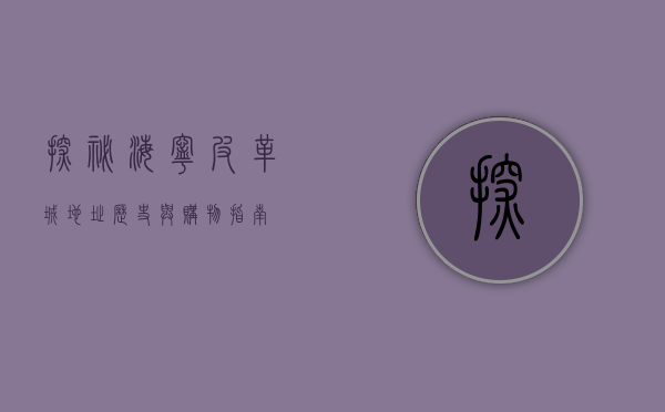 探秘海宁皮革城，地址、历史与购物指南