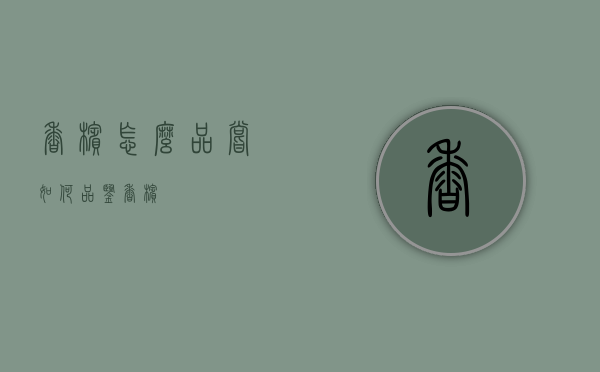 香槟怎么品尝（如何品鉴香槟）