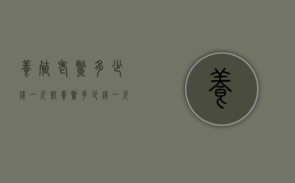 养殖老鳖多少钱一斤（饲养鳖多少钱一斤）