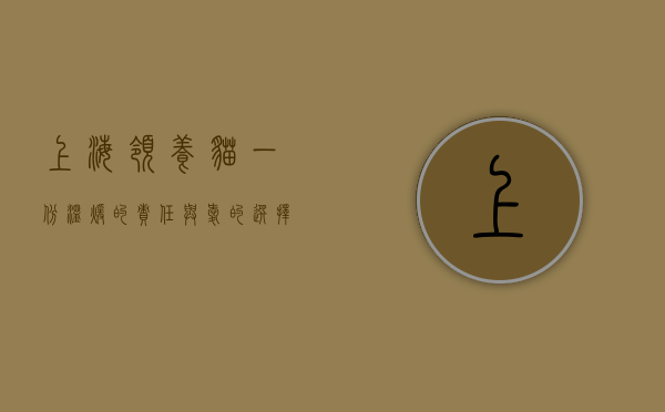 上海领养猫，一份温暖的责任与爱的选择