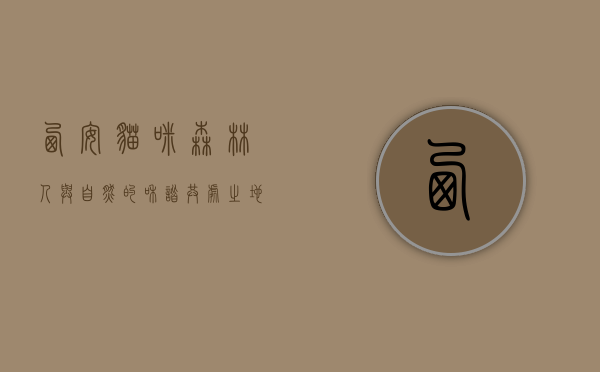 西安猫咪森林，人与自然的和谐共处之地