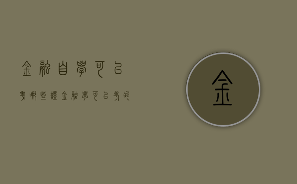 金融自学可以考哪些证（金融学可以考的证）
