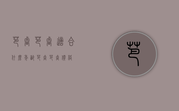 芭睿芭睿适合什么年龄（芭睿芭睿价格）