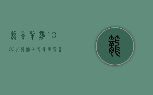 笼养柴鸡1000只能赚多少钱（养柴公鸡一只成本多少）