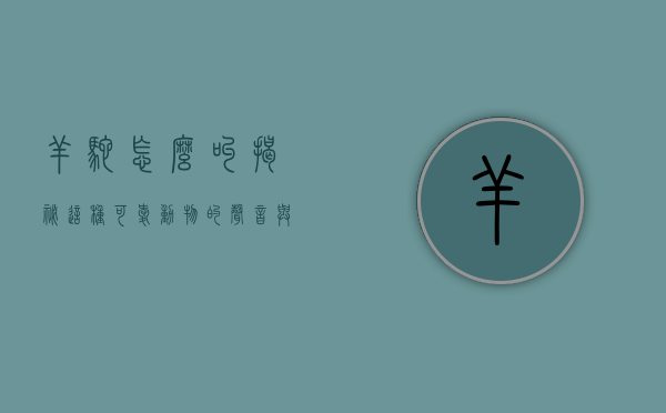 羊驼怎么叫，揭秘这种可爱动物的声音与行为