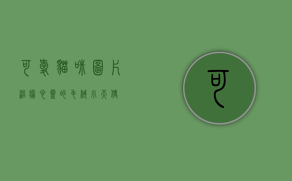 可爱猫咪图片，治愈心灵的毛绒小天使