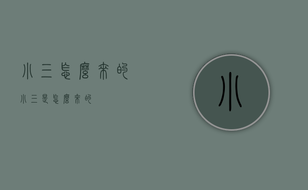 小三怎么来的（小三是怎么来的）