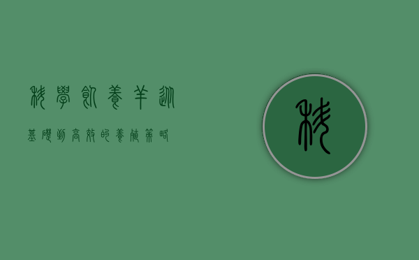 科学饲养羊，从基础到高效的养殖策略