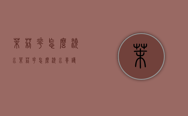 茉莉花怎么浇水（茉莉花怎么浇水养护）
