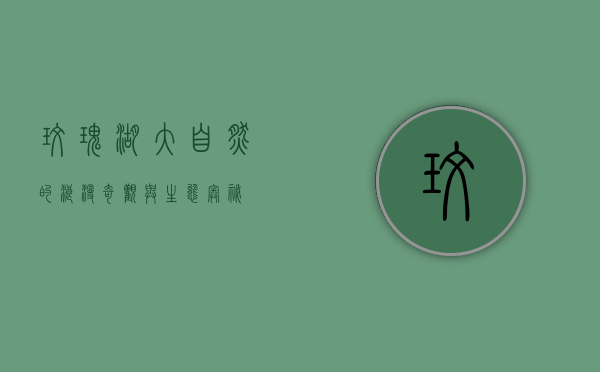 玫瑰湖，大自然的浪漫奇观与生态奥秘
