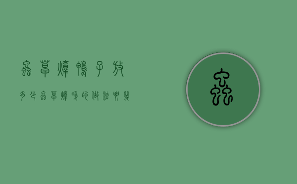 虫草炖鸭子放多少（虫草炖鸭的做法要几根）