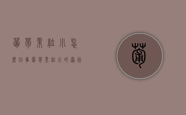 葡萄果粒小怎么回事，葡萄果粒小的原因（葡萄果粒不长是什么原因）