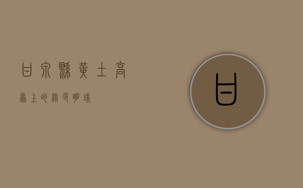 甘泉县，黄土高原上的绿色明珠