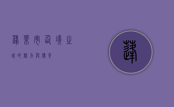 蓬莱市，仙境之城的魅力与传奇