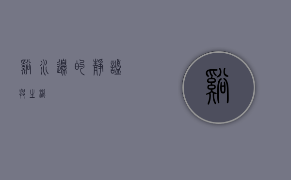 溪水边的静谧与生机