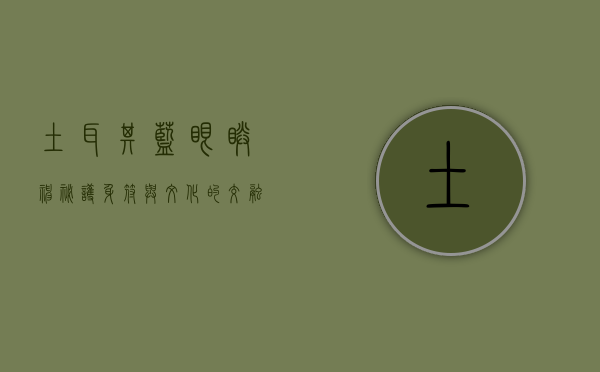 土耳其蓝眼睛，神秘护身符与文化的交融