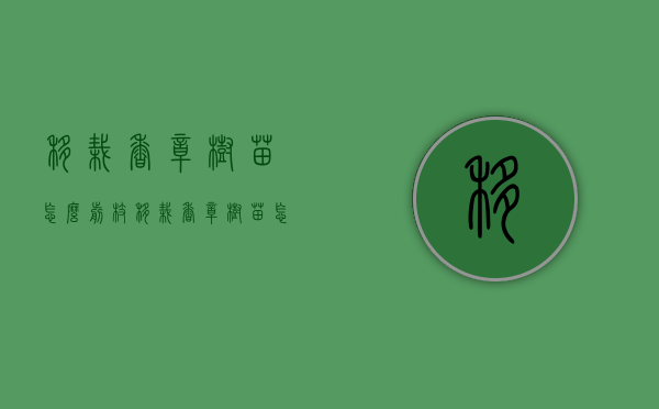 移栽香樟树苗怎么剪枝（移栽香樟树苗怎么剪枝视频）