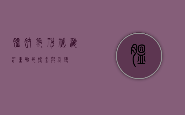 腽肭兽，神秘海洋生物的探索与保护