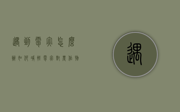 遇到雹灾怎么办（如何减轻雹灾对农作物的危害）