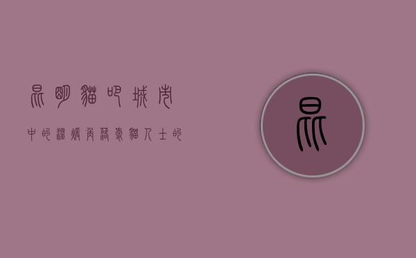 昆明猫吧，城市中的温暖角落，爱猫人士的天堂