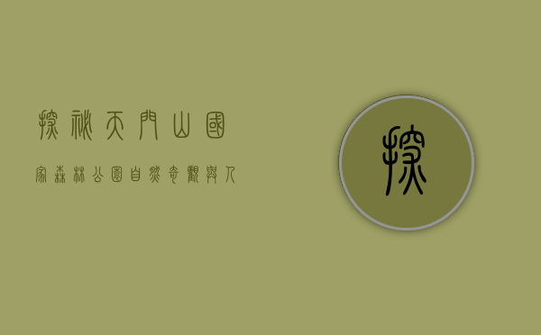 探秘天门山国家森林公园，自然奇观与人文底蕴的交汇之地