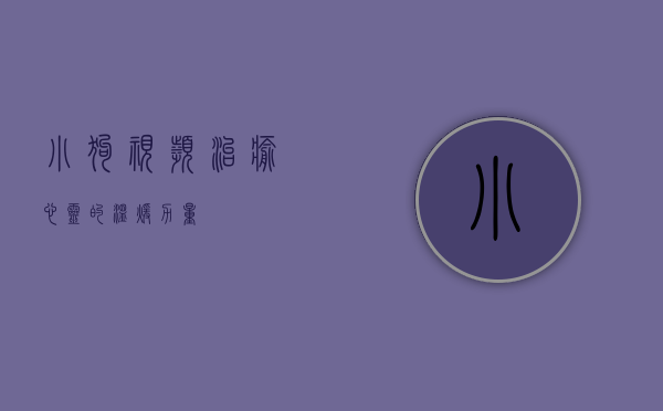 小狗视频，治愈心灵的温暖力量