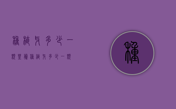 种植牙多少一颗（登腾种植牙多少一颗）