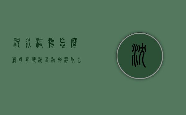 沉水植物怎么管理养护（沉水植物净化水体）