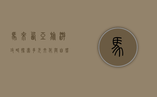 马来西亚旅游攻略，探索多元文化与自然奇观的完美之旅