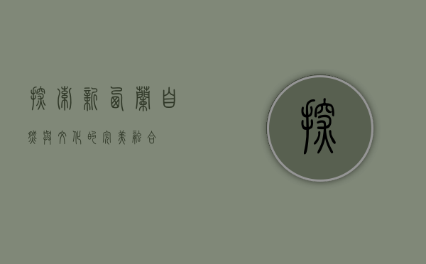 探索新西兰，自然与文化的完美融合