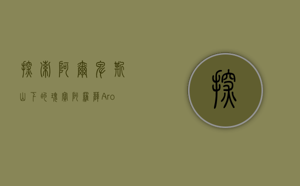 探索阿尔卑斯山下的瑰宝—阿罗萨（Arosa）的四季魅力