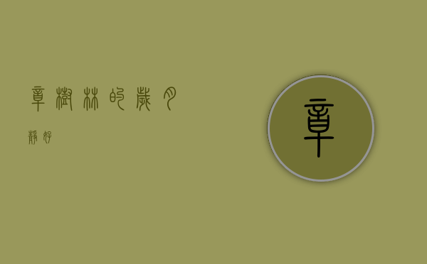 樟树林的岁月静好