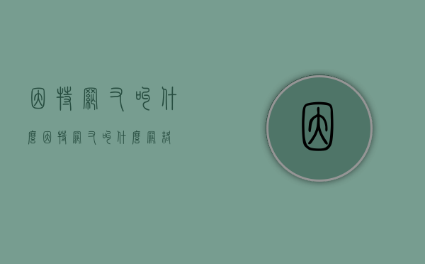 因特网又叫什么（因特网又叫什么网络）