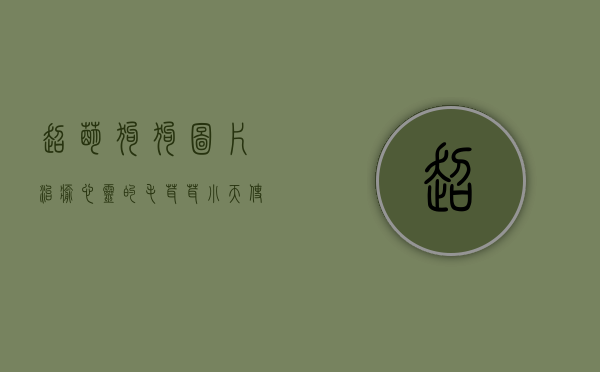 超萌狗狗图片,治愈心灵的毛茸茸小天使 超萌狗狗图片,治愈心灵的毛茸茸小天使