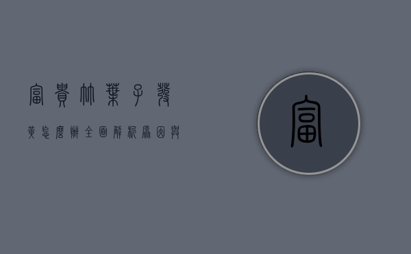 富贵竹叶子发黄怎么办？全面解析原因与解决方法