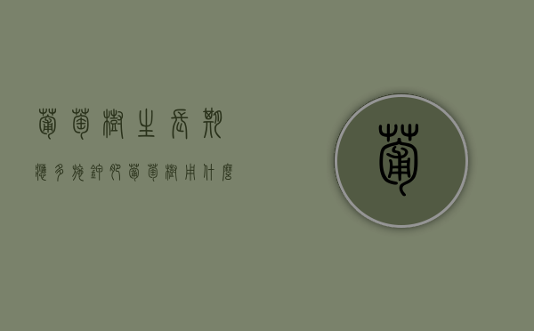 葡萄树生长期应多施钾肥（葡萄树用什么肥料什么时修剪）