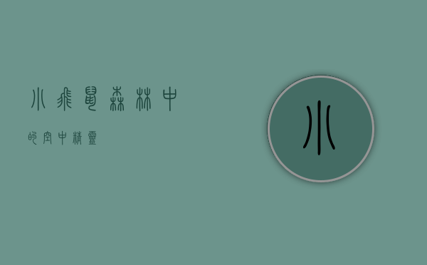 小飞鼠，森林中的空中精灵